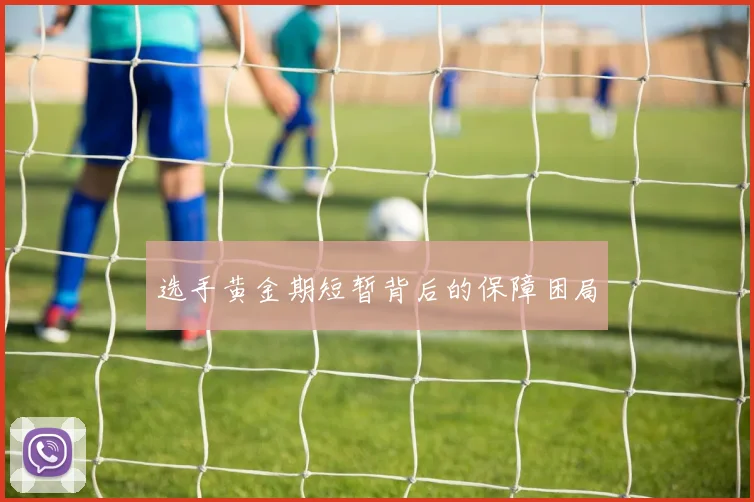 选手黄金期短暂背后的保障困局
