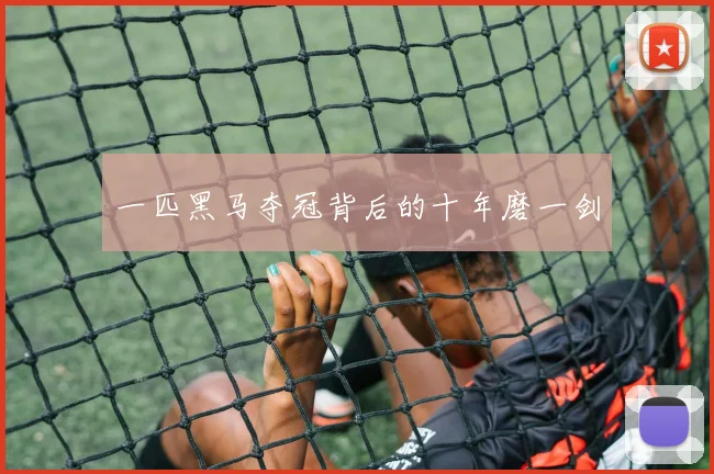 一匹黑马夺冠背后的十年磨一剑