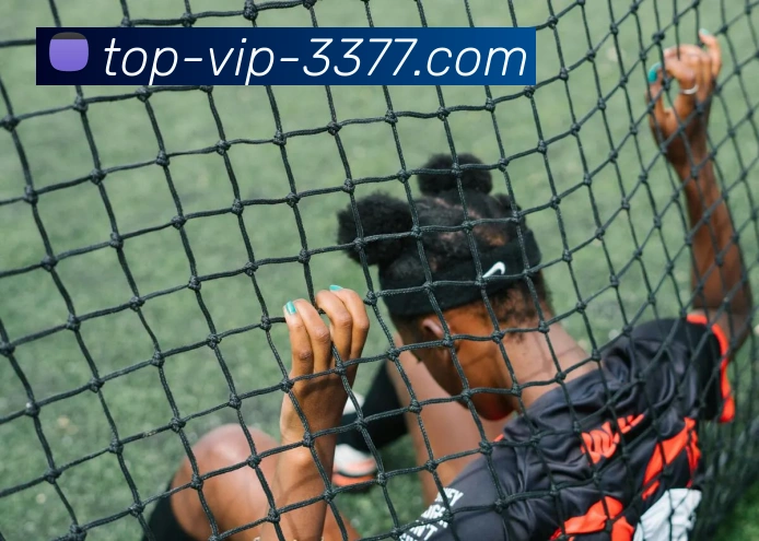 3377APP 体育赛事宣传图